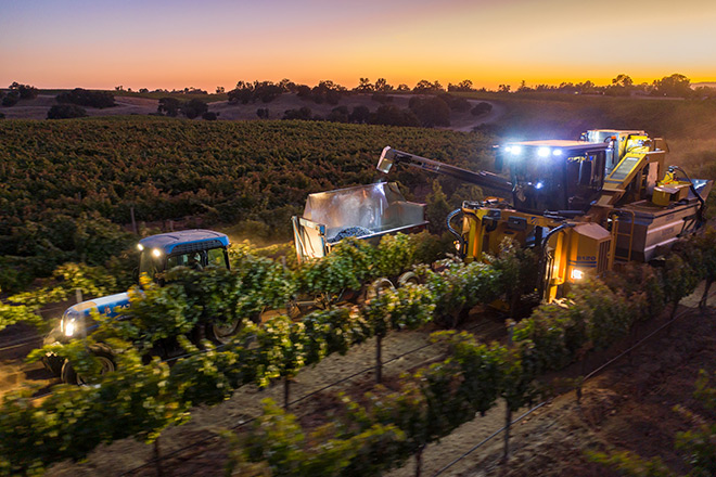 Paso Robles Mechanical Harvesting