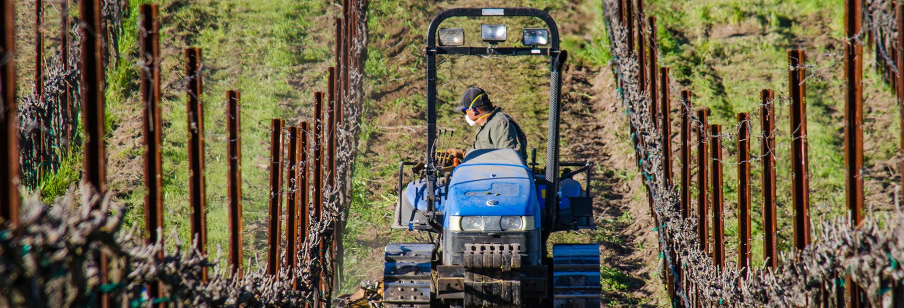 Vineyard Professional Services Photo