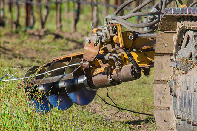 Paso Robles Undervine Weed Management