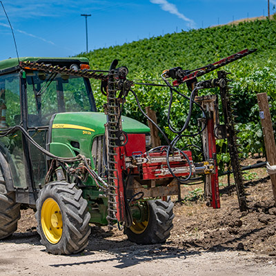 Hedging / Cane Cutting