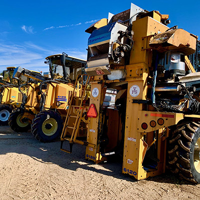 Mechanical Harvesting